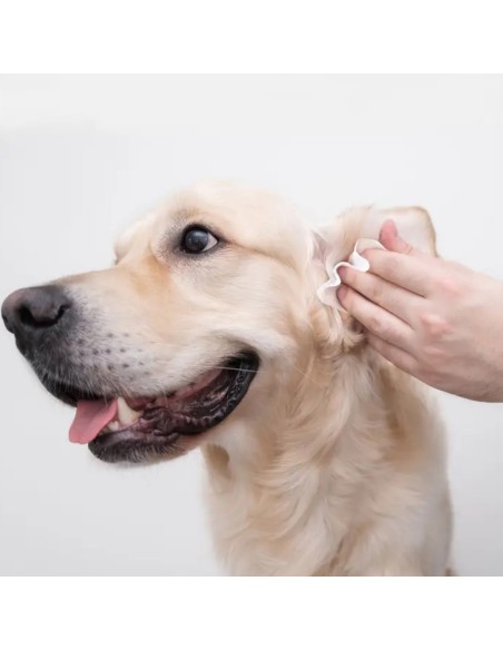 Eye Envy Fresh Ear Cleaning Wipes 60 pcs