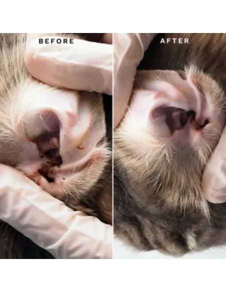 Eye Envy Ear Cleaning Solution 118 ml