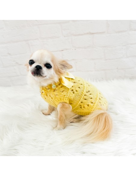 Les Bébés Pull Yellow