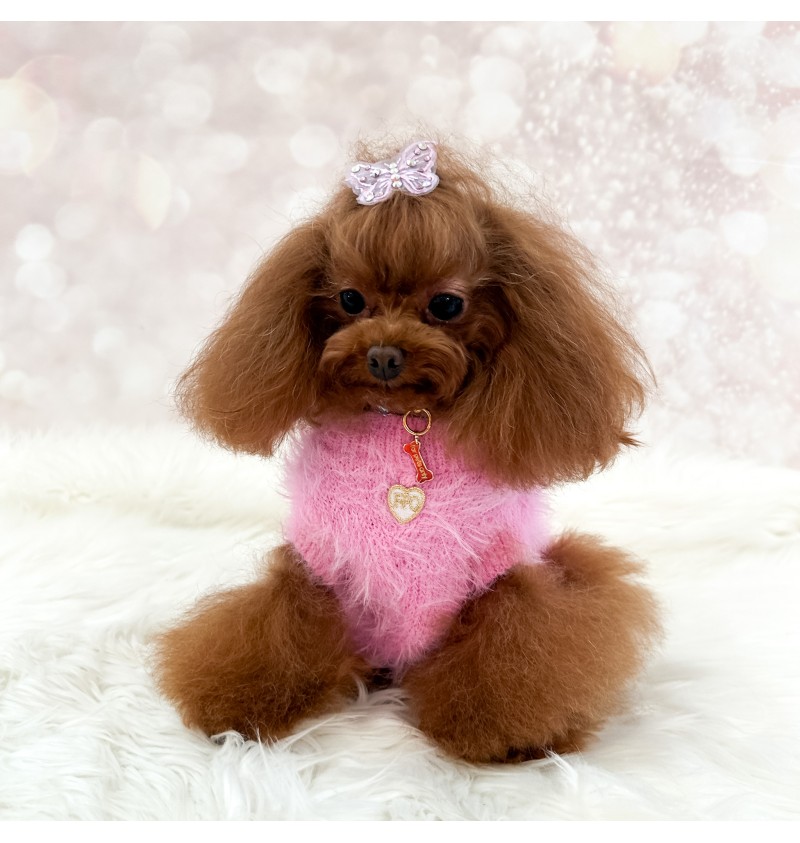 Butterfly Paradise Pull