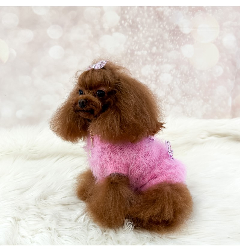 Butterfly Paradise Pull