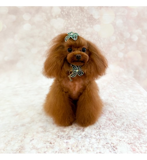 Beryl Green Collar 2