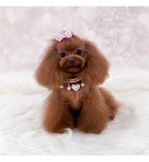 Precious Heart Collar 2