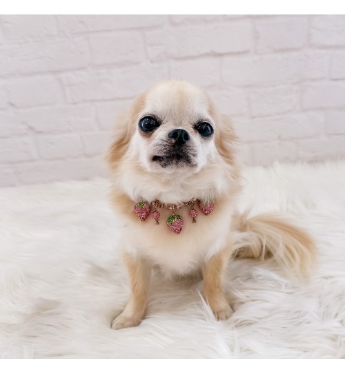 Strawberry Bling Collar 2