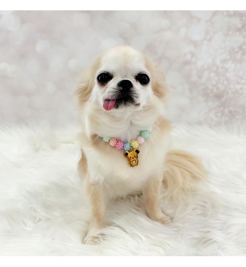 TopoMio Candy Crush Bijoux 2