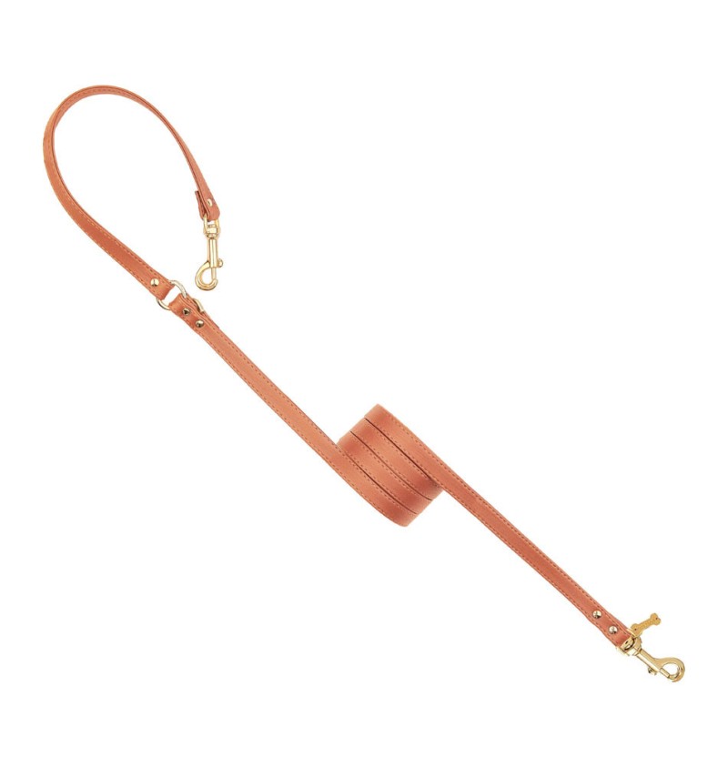 Plain Lead For Happy Hour Noisette/Gold