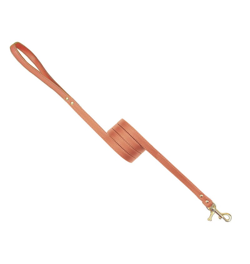 Plain Lead Noisette/Gold