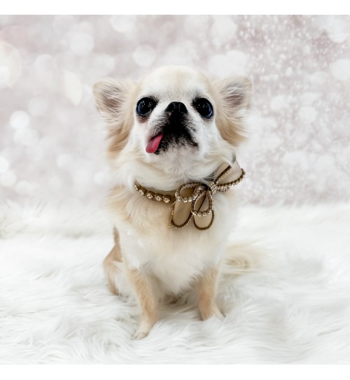 Perfection In A Bow Collar Greige 2