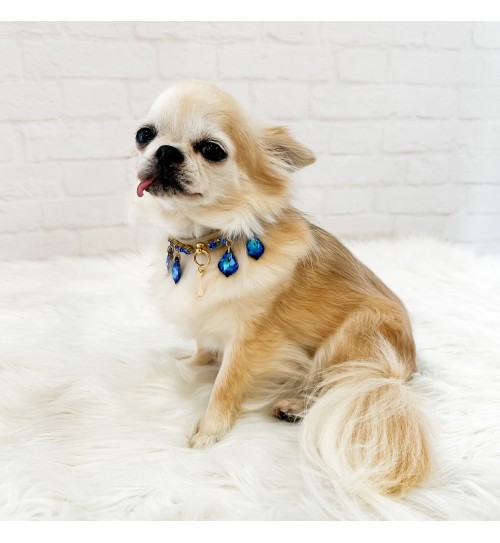 Magic Drops Collar Blue 2