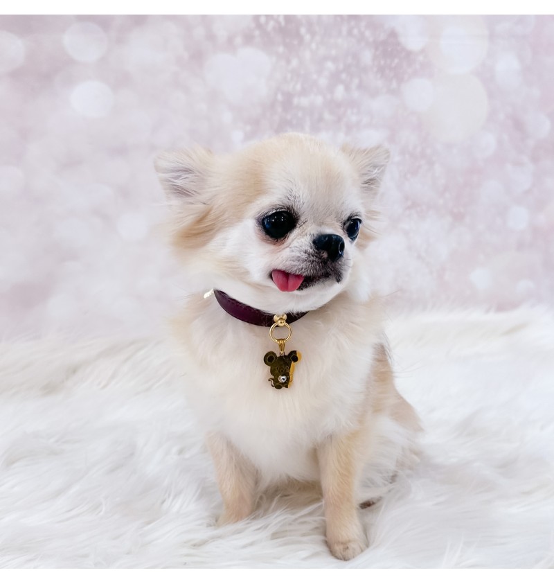 TopoMio Lover Collar Burgundy