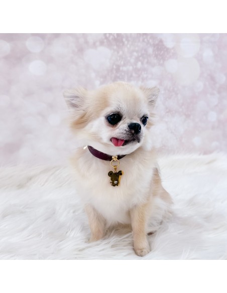 TopoMio Lover Collar Burgundy