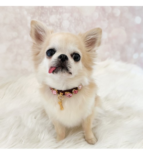 Burgundy Candy Diamond Collar 2