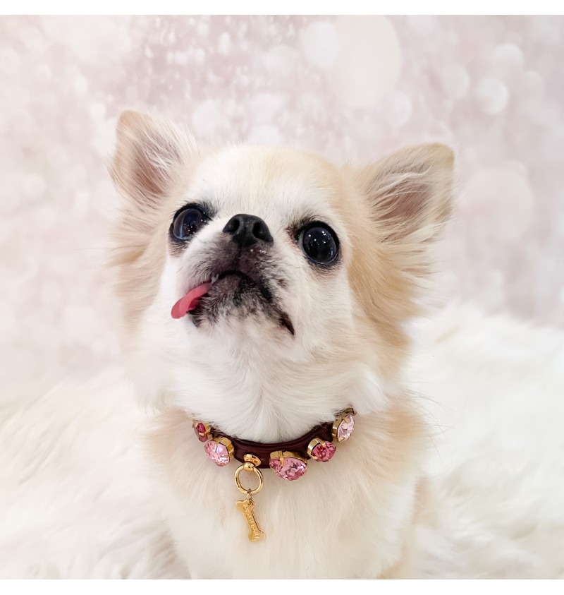 Burgundy Candy Diamond Collar