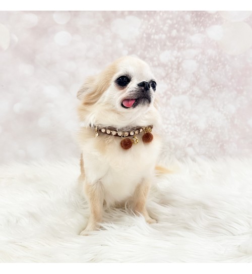 Caramello Game Collar 2