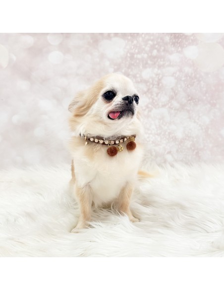 Caramello Game Collar