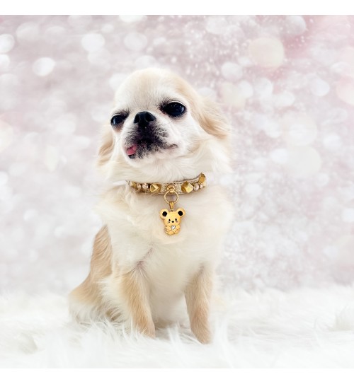 TopoMio Gold Treasure Collar 2