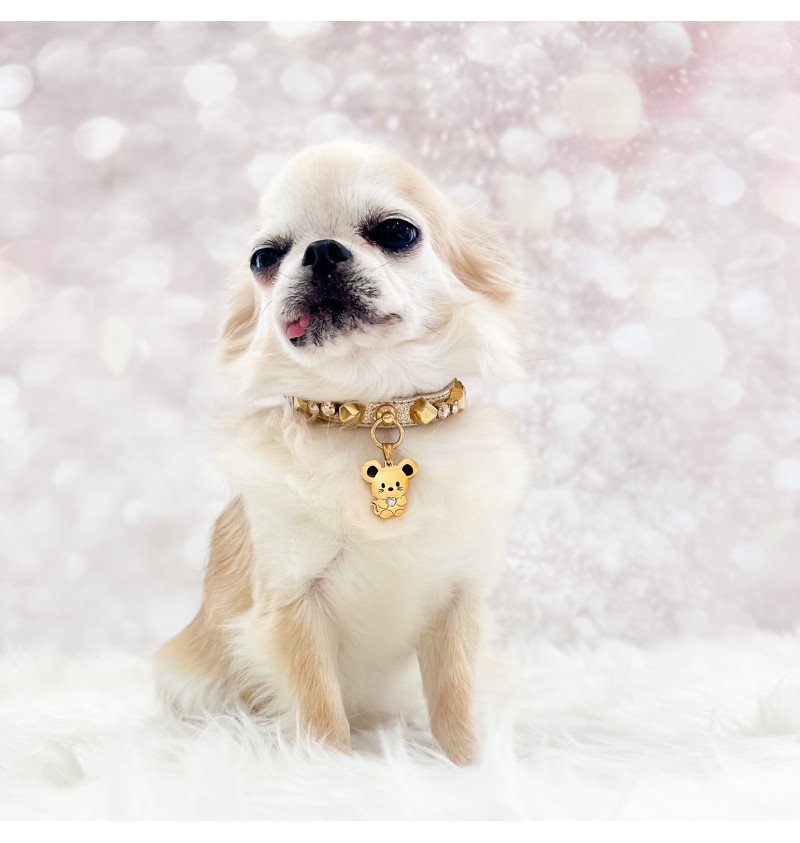 TopoMio Gold Treasure Collar