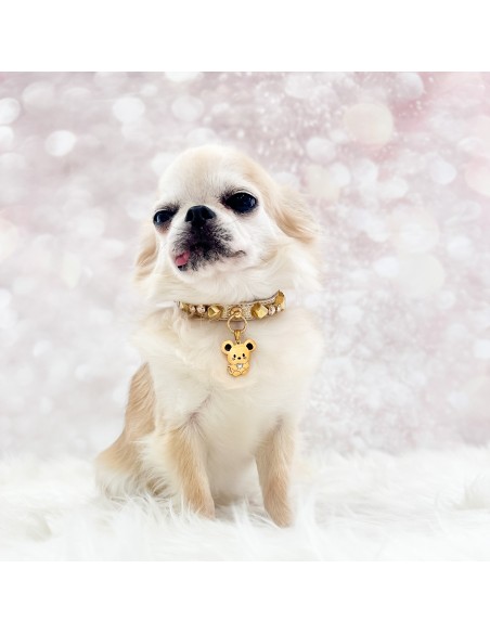 TopoMio Gold Treasure Collar