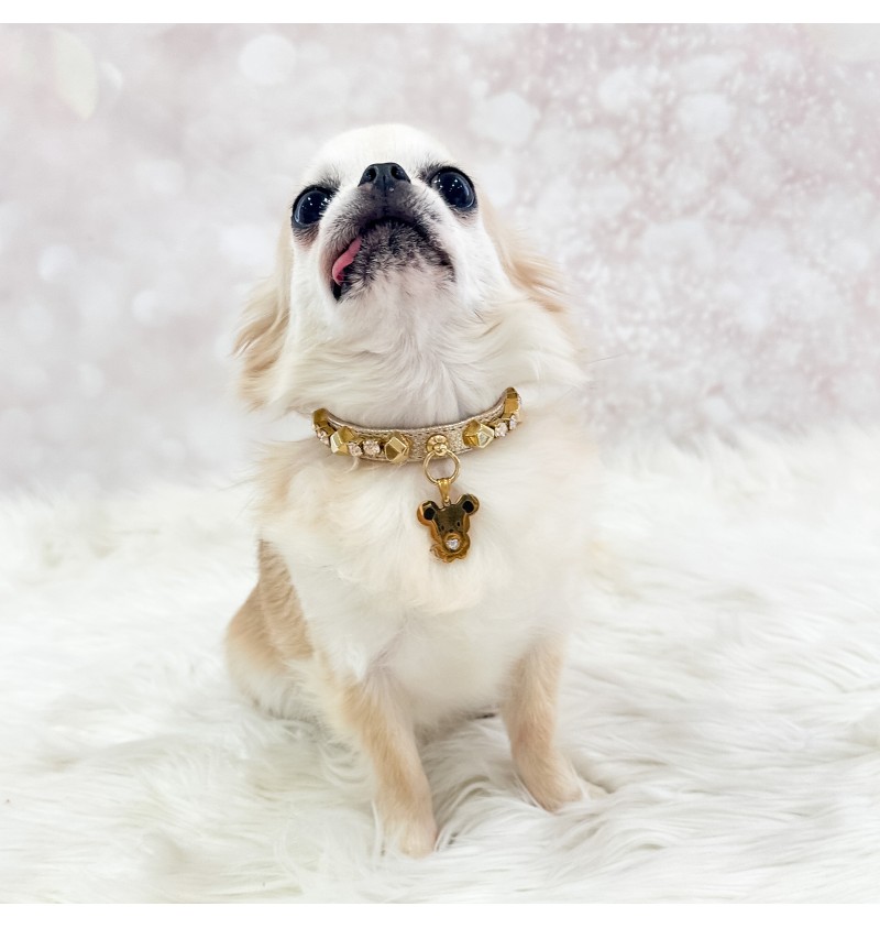 TopoMio Gold Treasure Collar