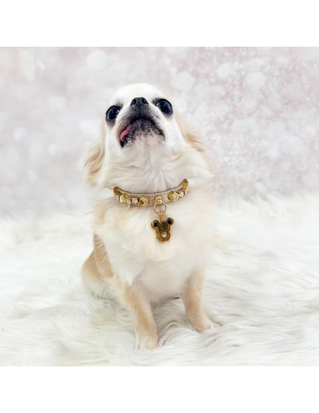 TopoMio Gold Treasure Collar