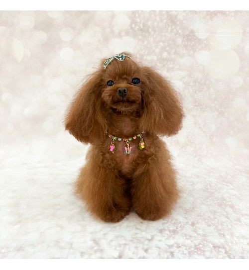 Eden Garden Bijoux 2