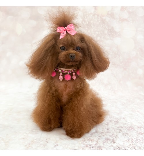 Hot Pink Game Collar 2