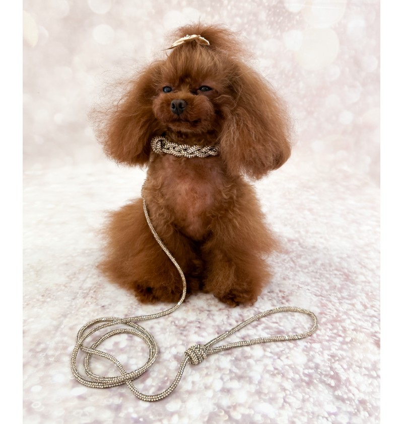 Crystal Babe Collar Golden Shadow/Gold