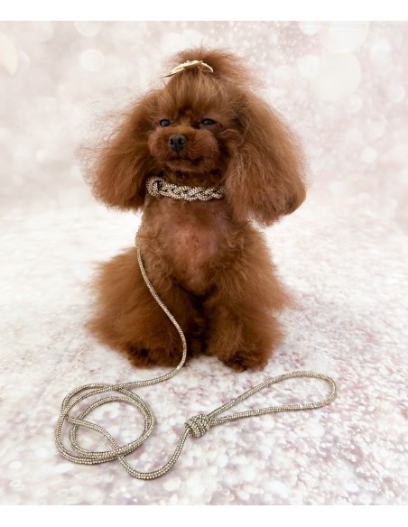 Crystal Babe Collar Golden Shadow/Gold