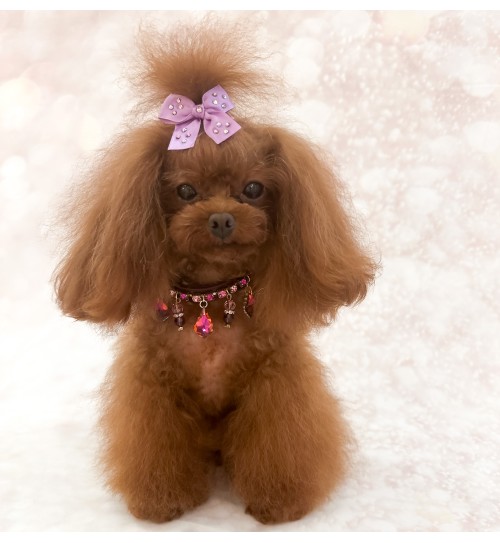 Magic Drops Collar Burgundy 2