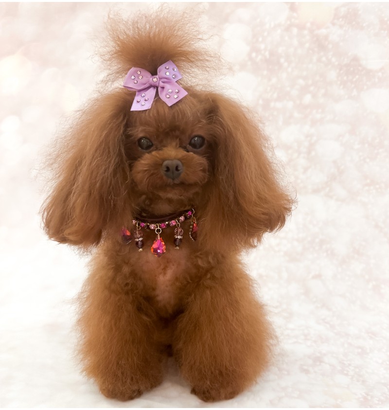 Magic Drops Collar Burgundy