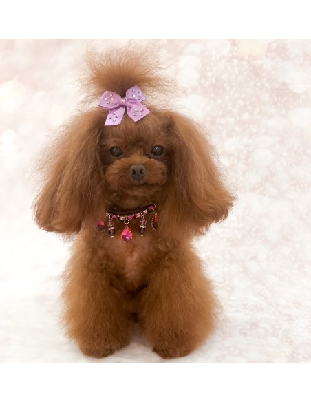 Magic Drops Collar Burgundy