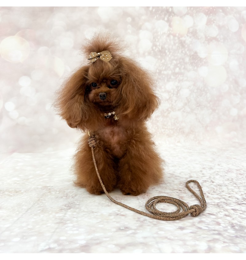 Crystal Babe Leash Topaz/Gold