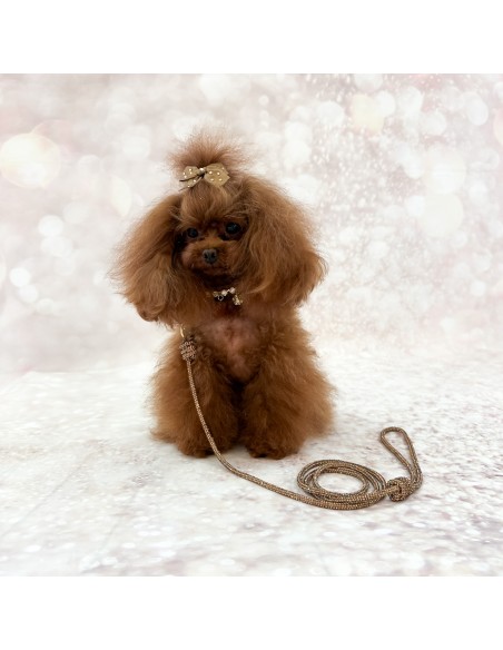 Crystal Babe Leash Topaz/Gold
