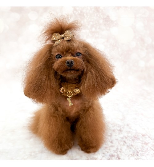 Posh Diamond Collar Caramel 2