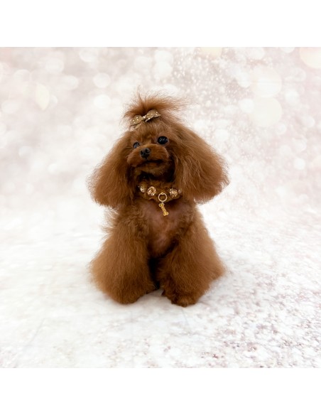 Posh Diamond Collar Caramel