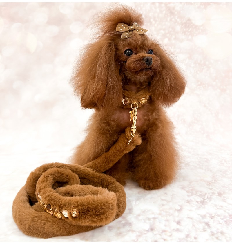 Posh Diamond Collar Caramel