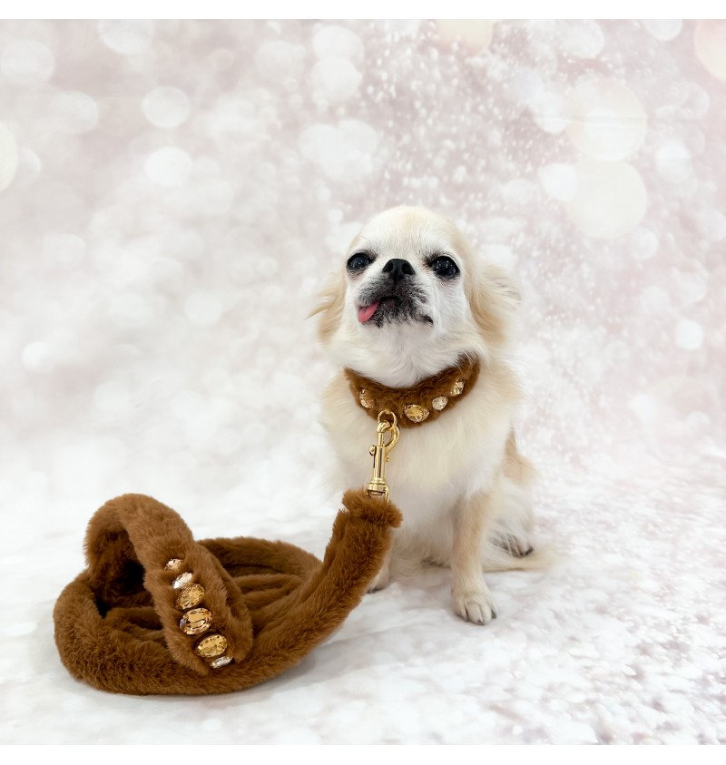 Posh Diamond Collar Caramel