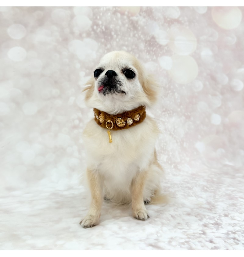 Posh Diamond Collar Caramello