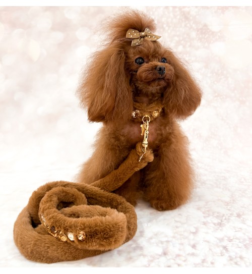 Posh Diamond Lead Caramel/Gold 2