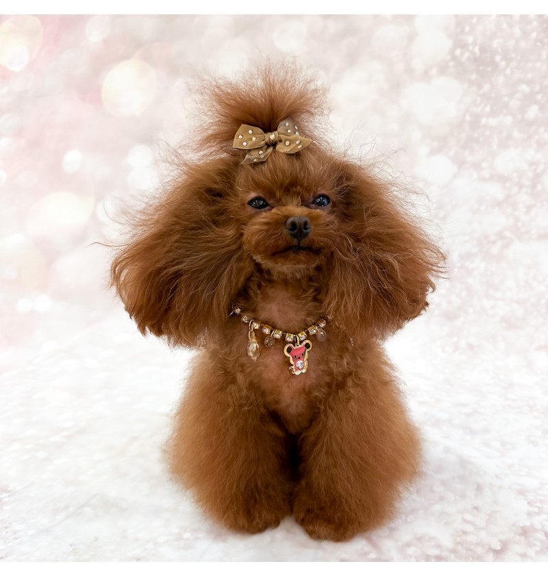 TopoMio Luxury Lifestyle Bijoux