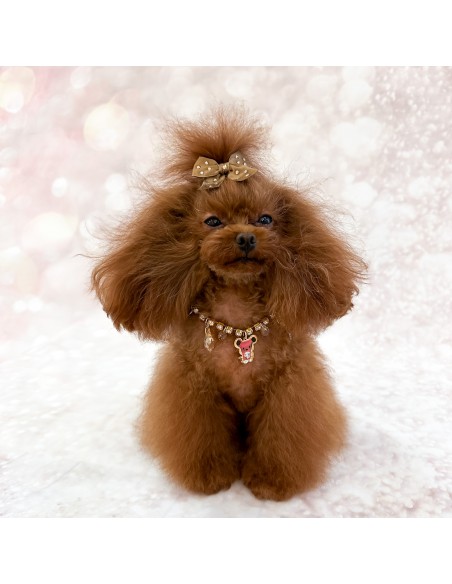 TopoMio Luxury Lifestyle Bijoux