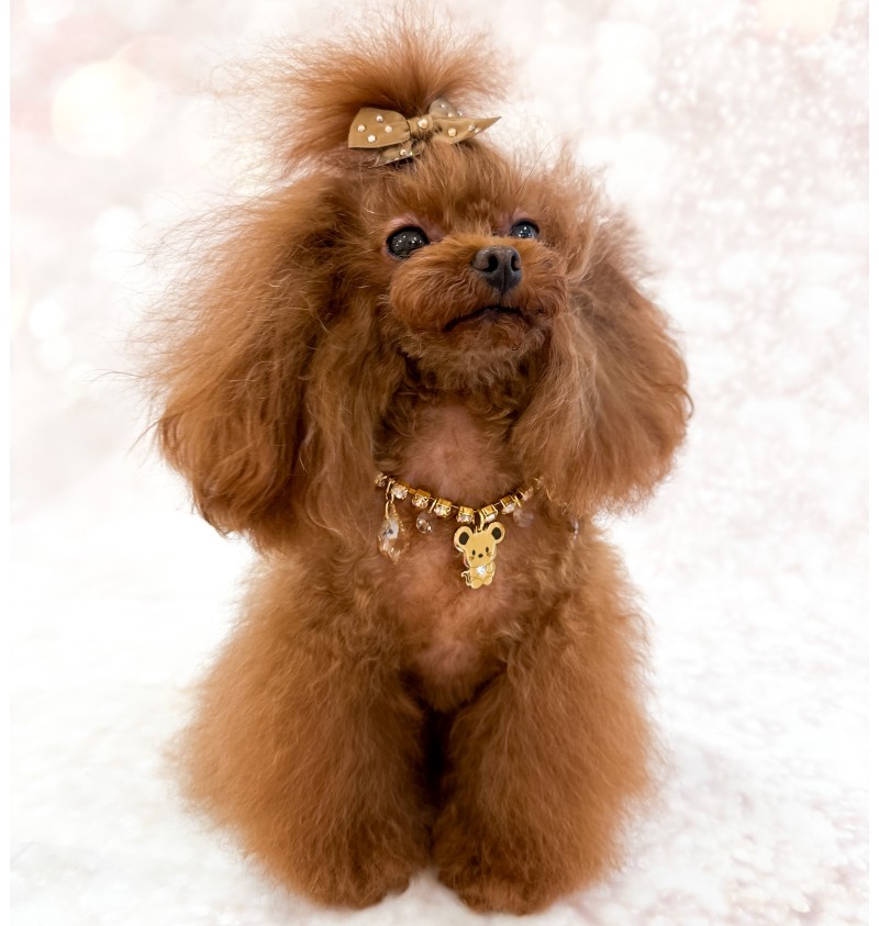 TopoMio Luxury Lifestyle Bijoux