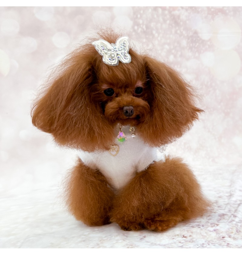 My Butterfly Hairclip White