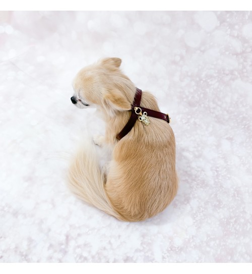 TopoMio Lover Harness Burgundy 2