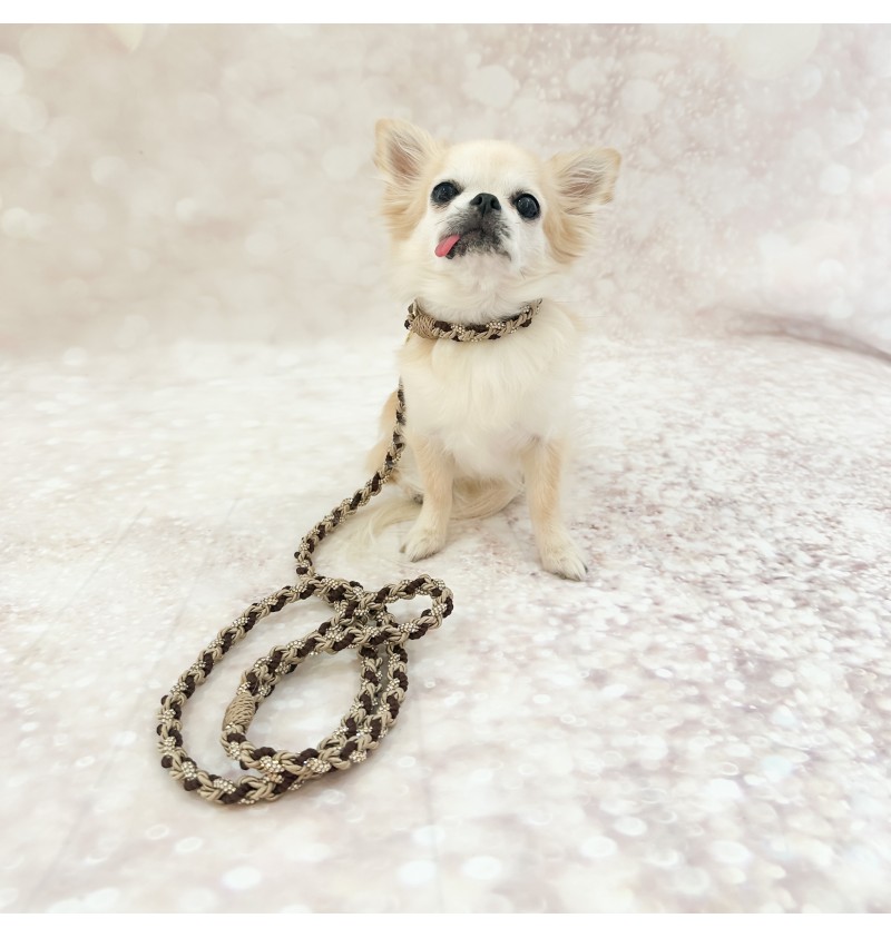 The Magic Island Collar Rope & Strass...