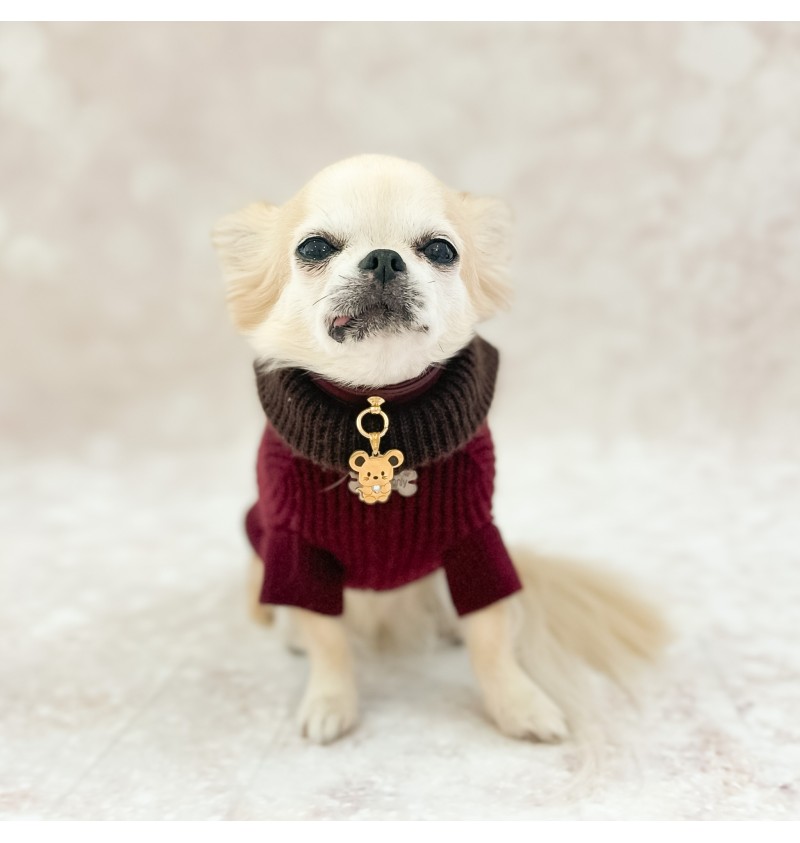 100% Cashmere Pull Vittorio Burgundy