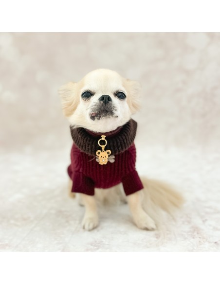 100% Cashmere Pull Vittorio Burgundy