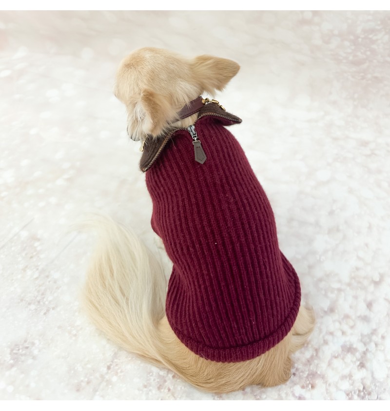 100% Cashmere Pull Vittorio Burgundy