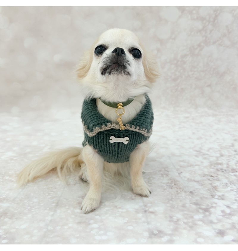 100% Cashmere Pull Gregorio Green