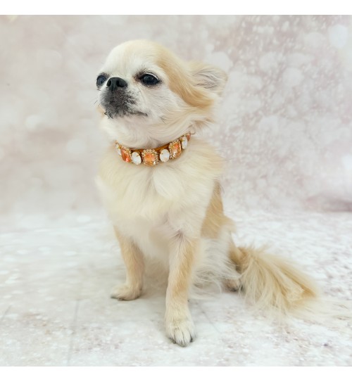 Amber Princess Collar 2